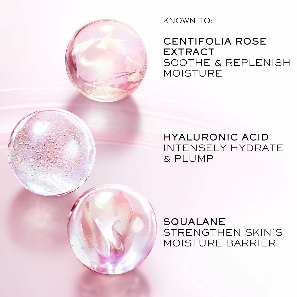 V3H6B6A3F5DCCAF95FB71B102F52249A8F2R6240363P4